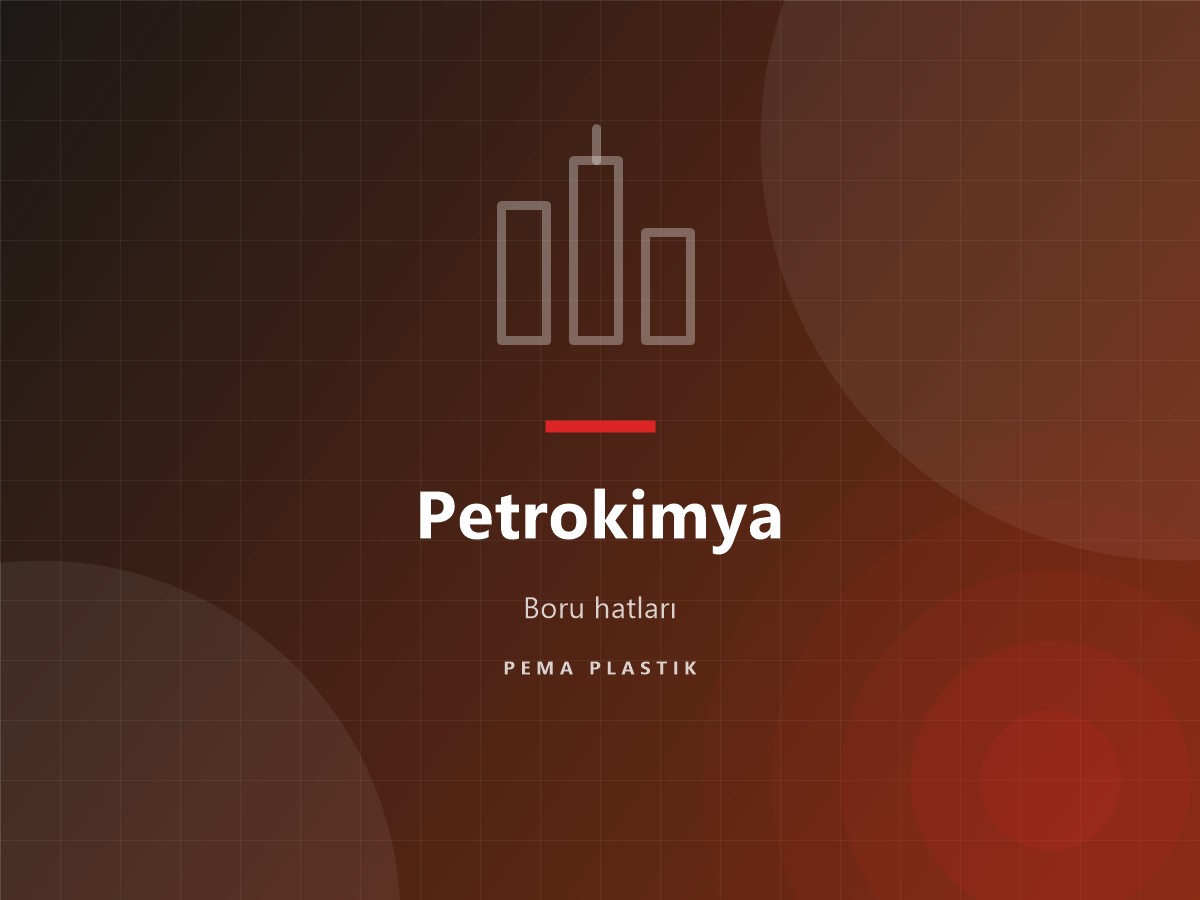 Petrokimya